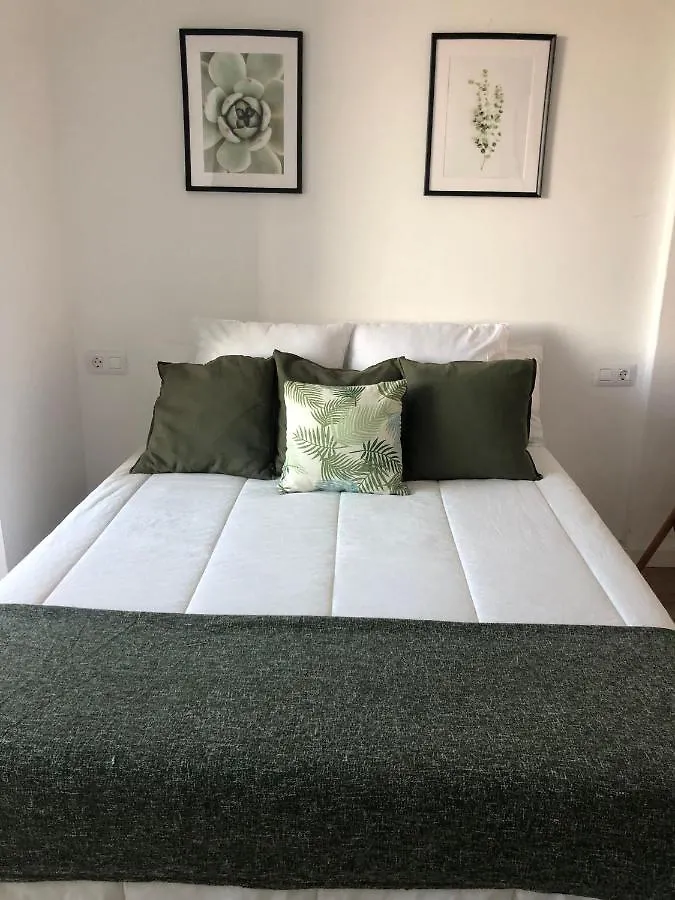Green Coast Suite Santa Cruz de Tenerife Apartment